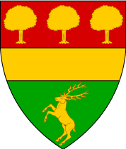 Arms Image